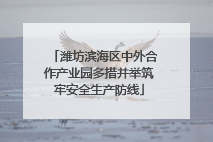 潍坊滨海区中外合作产业园多措并举筑牢安全生产防线