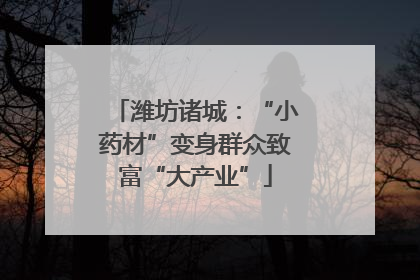 潍坊诸城：“小药材”变身群众致富“大产业”