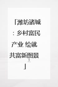 潍坊诸城：乡村富民产业 绘就共富新图景