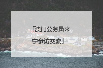 澳门公务员来宁参访交流