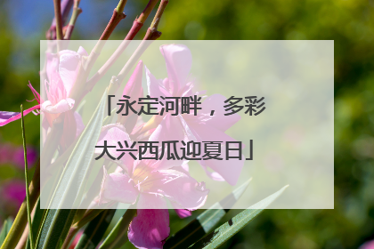 永定河畔，多彩大兴西瓜迎夏日