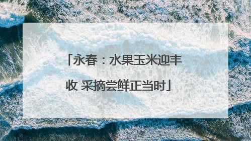 永春：水果玉米迎丰收 采摘尝鲜正当时