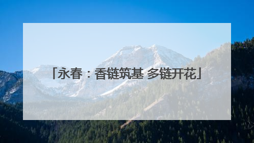 永春：香链筑基 多链开花