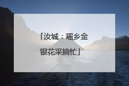 汝城：瑶乡金银花采摘忙
