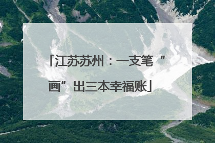 江苏苏州：一支笔“画”出三本幸福账