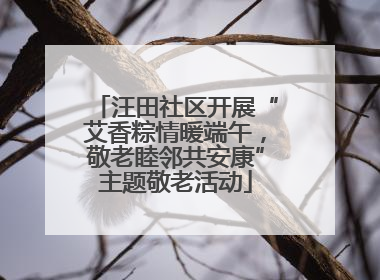 汪田社区开展“艾香粽情暖端午，敬老睦邻共安康”主题敬老活动