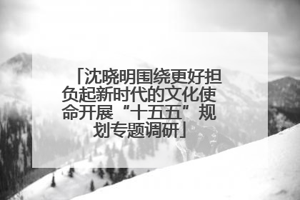沈晓明围绕更好担负起新时代的文化使命开展“十五五”规划专题调研