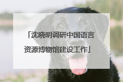 沈晓明调研中国语言资源博物馆建设工作