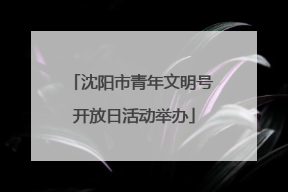 沈阳市青年文明号开放日活动举办