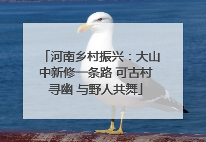 河南乡村振兴：大山中新修一条路 可古村寻幽 与野人共舞