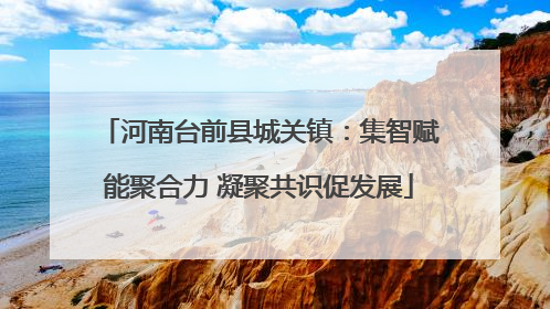 河南台前县城关镇：集智赋能聚合力 凝聚共识促发展