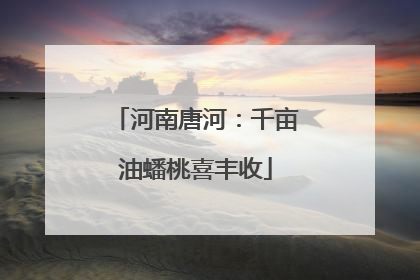 河南唐河：千亩油蟠桃喜丰收