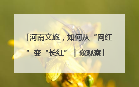 河南文旅，如何从“网红”变“长红”｜豫观察