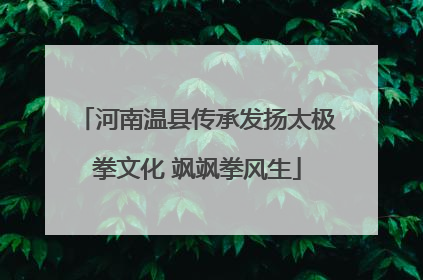 河南温县传承发扬太极拳文化 飒飒拳风生