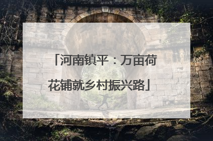 河南镇平：万亩荷花铺就乡村振兴路