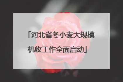 河北省冬小麦大规模机收工作全面启动