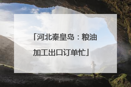 河北秦皇岛：粮油加工出口订单忙