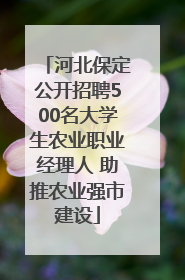 河北保定公开招聘500名大学生农业职业经理人 助推农业强市建设