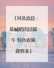 河北沧县：盐碱稻田过端午 特色农旅迎客来