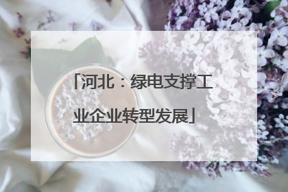 河北：绿电支撑工业企业转型发展