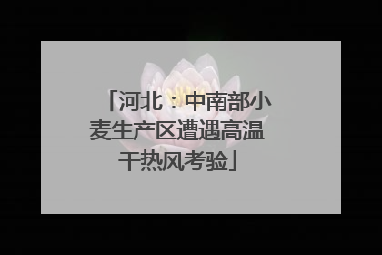 河北：中南部小麦生产区遭遇高温干热风考验