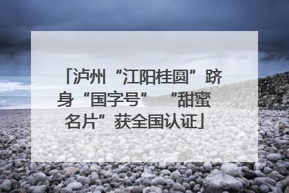 泸州“江阳桂圆”跻身“国字号” “甜蜜名片”获全国认证