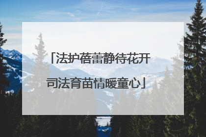 法护蓓蕾静待花开 司法育苗情暖童心