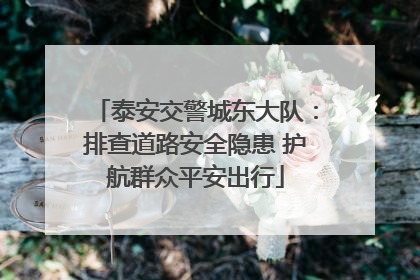 泰安交警城东大队：排查道路安全隐患 护航群众平安出行