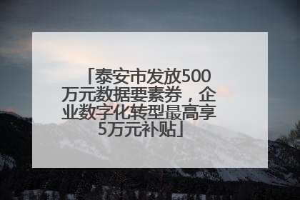 泰安市发放500万元数据要素券，企业数字化转型最高享5万元补贴