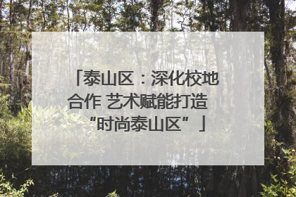 泰山区：深化校地合作 艺术赋能打造“时尚泰山区”