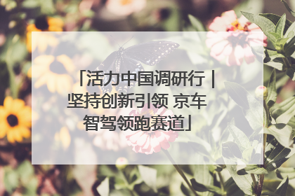 活力中国调研行｜坚持创新引领 京车智驾领跑赛道