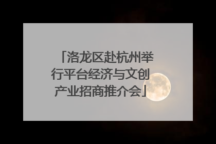 洛龙区赴杭州举行平台经济与文创产业招商推介会