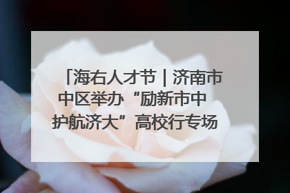 海右人才节｜济南市中区举办“励新市中 护航济大”高校行专场活动暨“青年人才 乐享市中”品牌推介会
