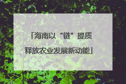 海南以“链”提质 释放农业发展新动能