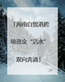 海南自贸港跨境资金“活水”双向奔涌