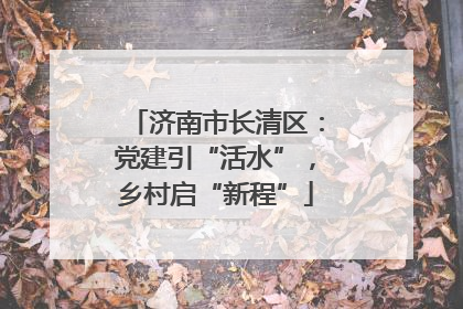 济南市长清区：党建引“活水”，乡村启“新程”
