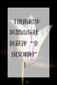 济南起步区鹊山东社区获评“全国文明村”