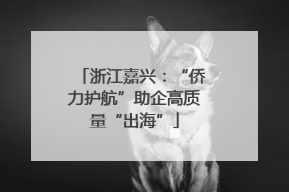 浙江嘉兴：“侨力护航”助企高质量“出海”