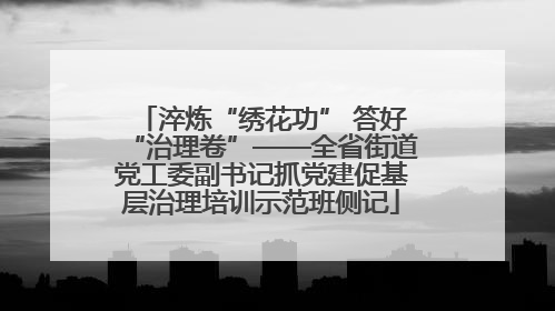 淬炼“绣花功” 答好“治理卷”——全省街道党工委副书记抓党建促基层治理培训示范班侧记