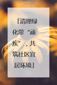 清理绿化带“顽疾”，共筑社区宜居环境