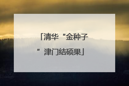 清华“金种子”津门结硕果