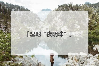 湿地“夜明珠”