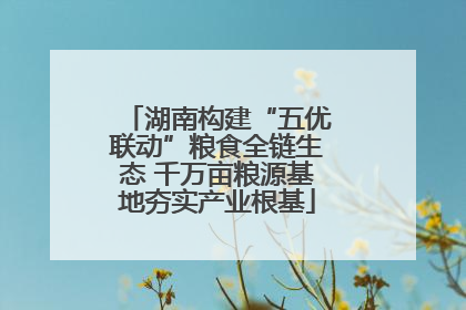 湖南构建“五优联动”粮食全链生态 千万亩粮源基地夯实产业根基