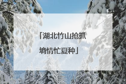 湖北竹山抢抓墒情忙夏种