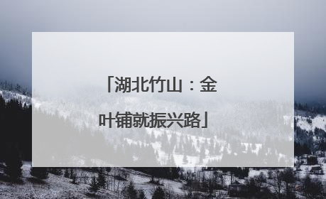 湖北竹山：金叶铺就振兴路