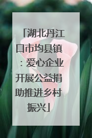 湖北丹江口市均县镇：爱心企业开展公益捐助推进乡村振兴