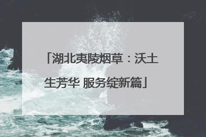 湖北夷陵烟草：沃土生芳华 服务绽新篇