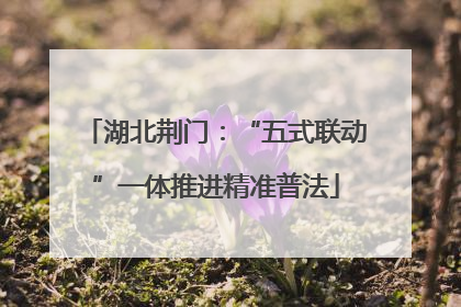 湖北荆门：“五式联动”一体推进精准普法