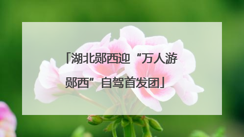 湖北郧西迎“万人游郧西”自驾首发团
