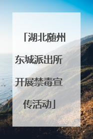 湖北随州东城派出所开展禁毒宣传活动